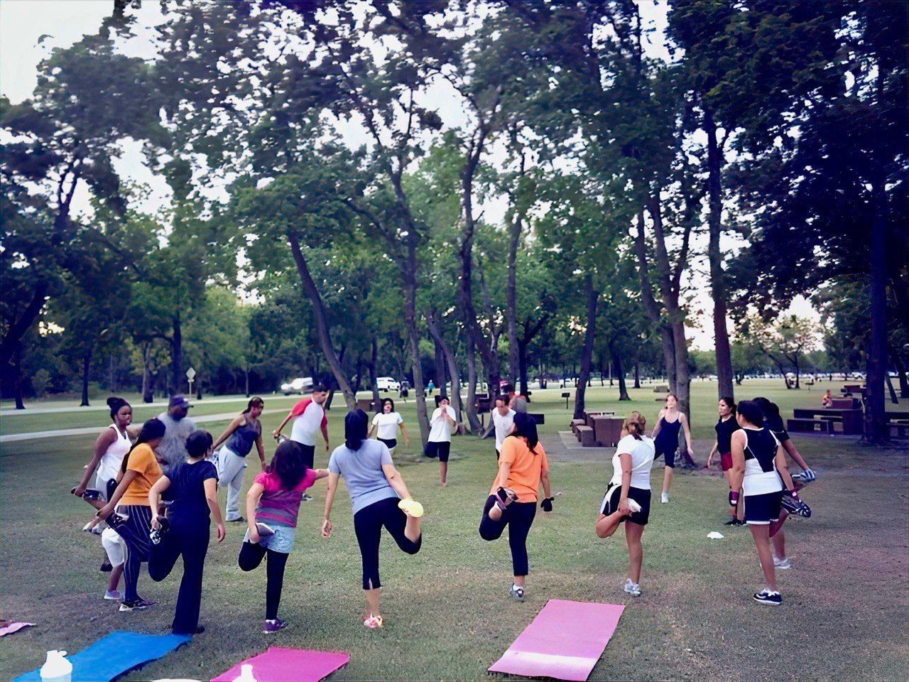 Group of people performing stretching exercises on a grassy field in a park, surrounded by trees.